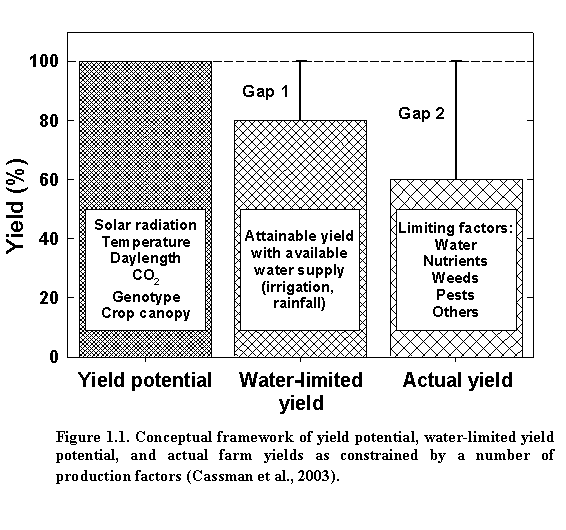 Figure 1.1 - Conceptual famework of yield potential.