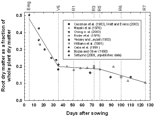 Graph of Root dry matter vs. Days after sowing
